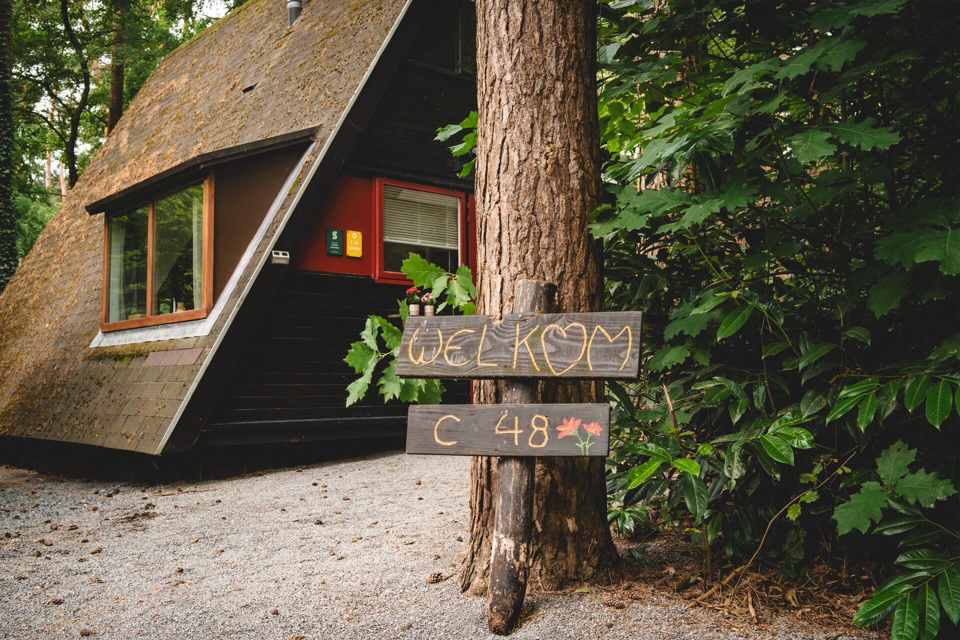Noord-Limburg & Peel